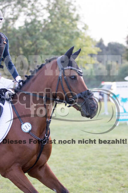 IGV Kleve