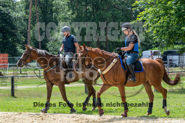 Hunter Geländetraining 10.07.2021 (Sonsbeck)