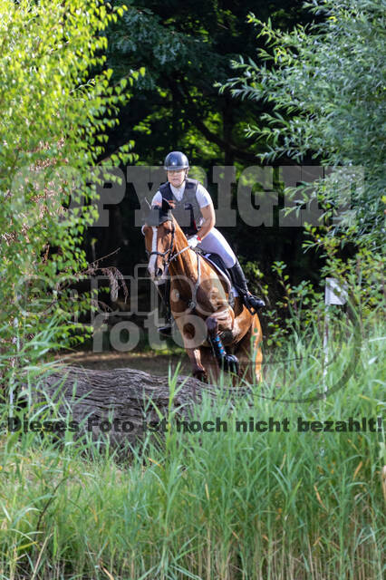 Late-Entry Vielseitigkeit Hamminkeln/Wesel (01.+02.08.2020)