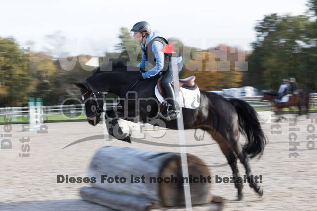 IGV Lehrgang der Sieger der Cups mit Frank Ostholt
