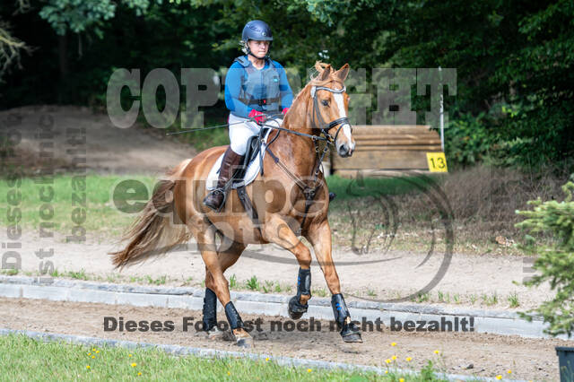 Late-Entry-Vielseitigkeit Langenfeld (11.+13./14.06.2020)