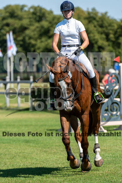 Kronenberg - De Peelbergen (August 2020)