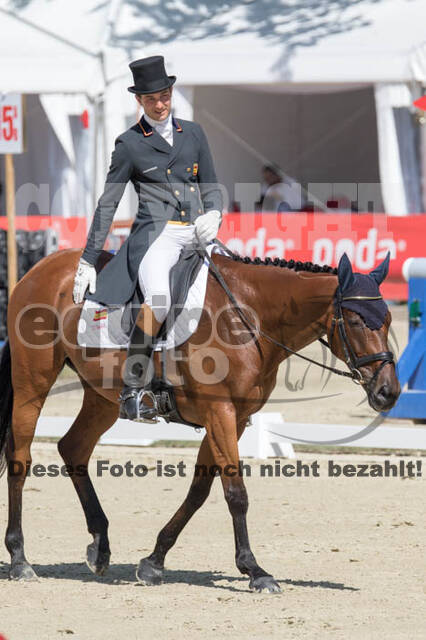 FEI European Championship Eventing 2017