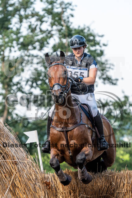 De Peelbergen (August 2020)