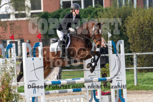 Goldene Schärpe 2020 - Pferde