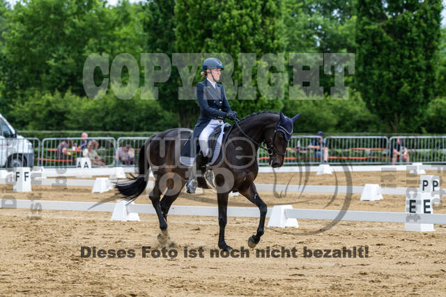 Westerstede Horse Trials 2021