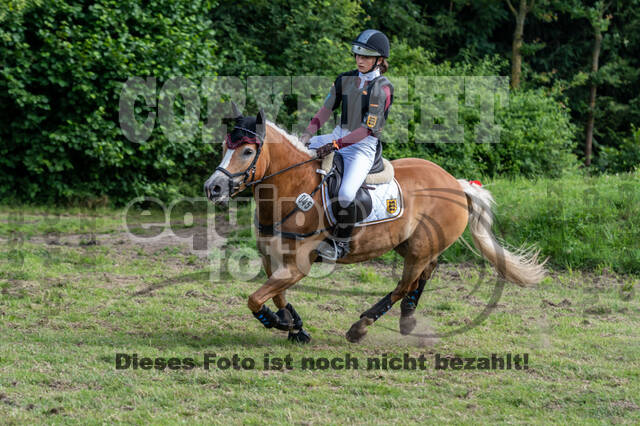 Goldene Schärpe 2021 - Ponys