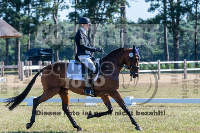 Kronenberg - De Peelbergen (August 2020)