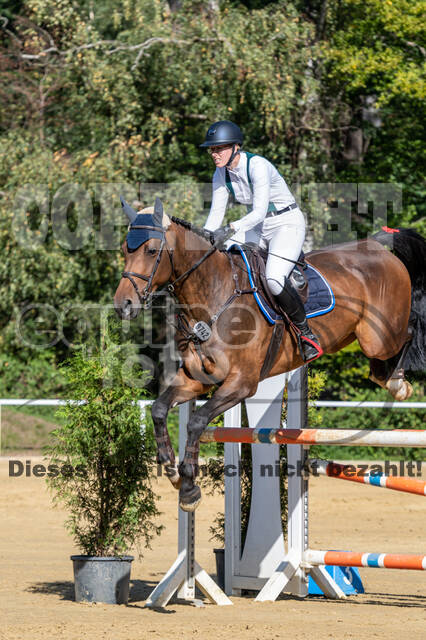 RFV Dinslaken-Hiesfeld (Herbstturnier)