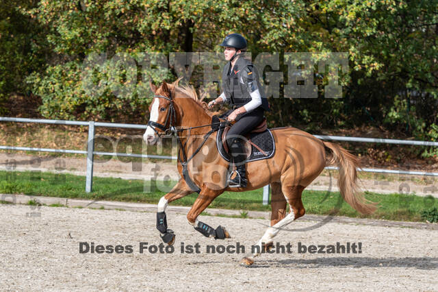 IGV Lehrgang der Sieger der Cups mit Frank Ostholt