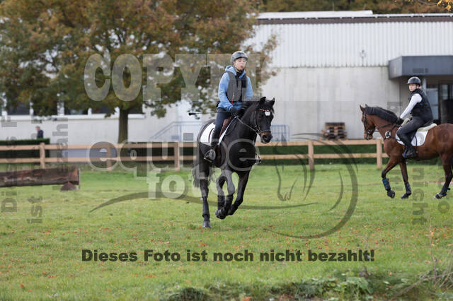 IGV Lehrgang der Sieger der Cups mit Frank Ostholt