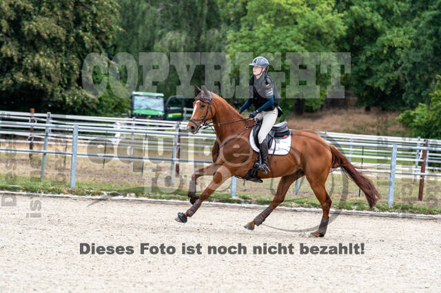 Late-Entry-Vielseitigkeit Langenfeld (11.+13./14.06.2020)