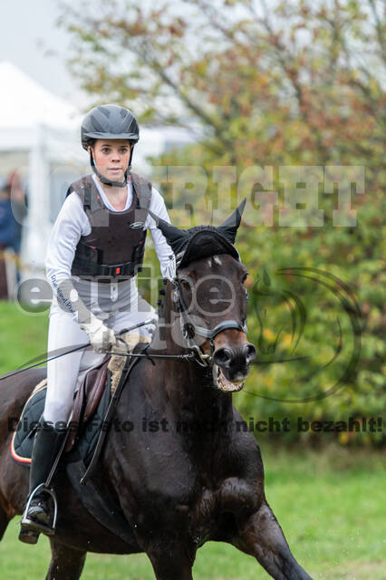 Goldene Schärpe 2020 - Pferde