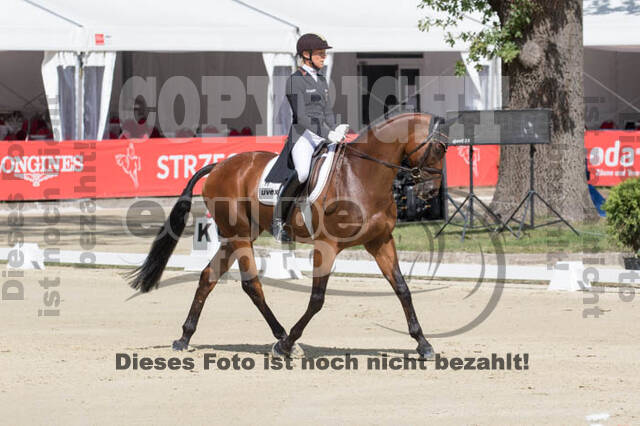 FEI European Championship Eventing 2017