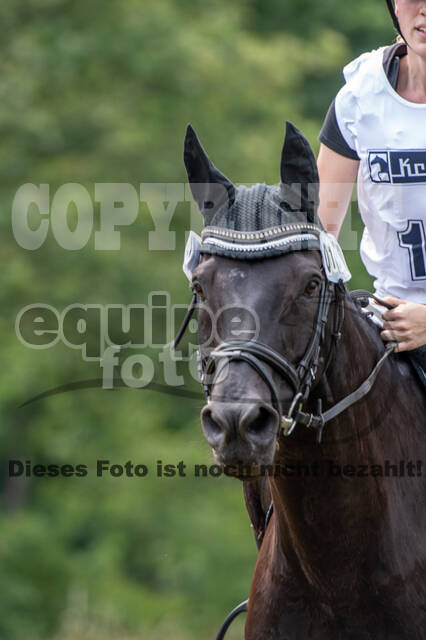 Late-Entry-Vielseitigkeit Gahlen (18.07.2020)