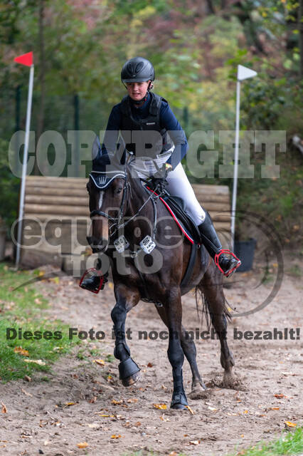 Goldene Schärpe 2020 - Pferde