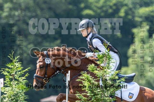 Goldene Schärpe 2021 - Ponys