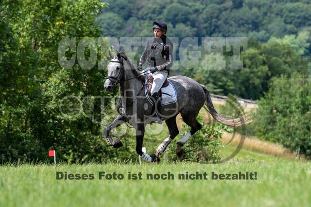 Bonn-Rodderberg Late-Entry-Vielseitigkeit (30.06.2020)