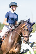 Kronenberg - De Peelbergen (August 2020)