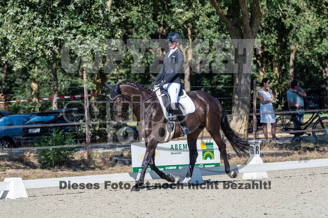 Kronenberg - De Peelbergen (August 2020)