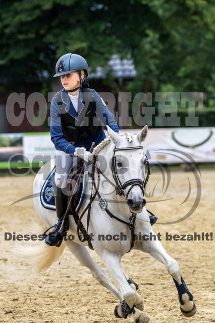 Goldene Schärpe 2021 - Ponys