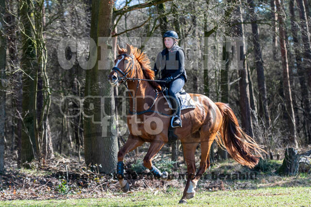 Geländetraining Wesel Obrighoven (19.+20.03.2022)