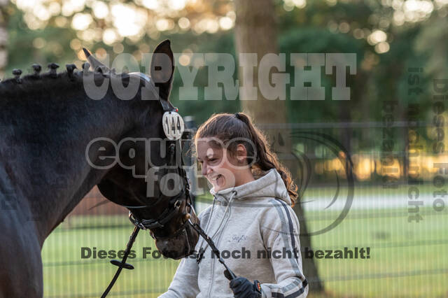 Deutsche Meisterschaft Vielseitigkeit (Luhmühlen)