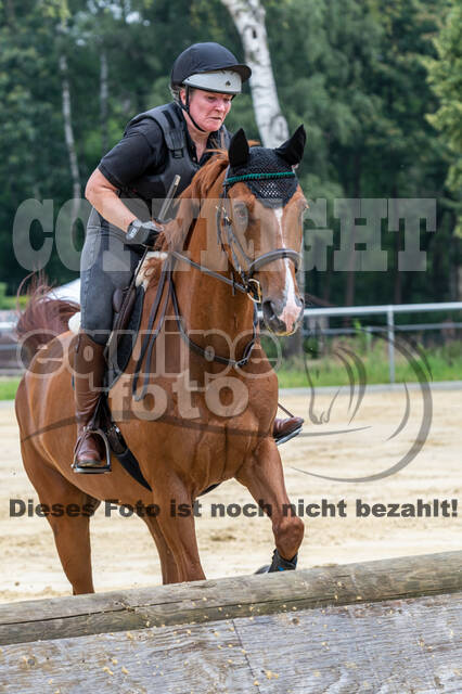 Hunter Geländetraining 10.07.2021 (Sonsbeck)