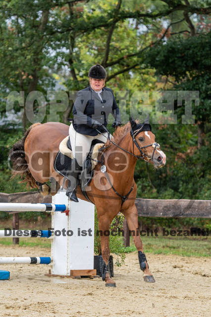 Vielseitigkeit RSV Wesel Obrighoven (26.+27.09.2020)