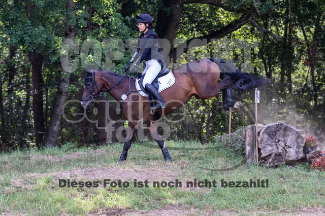 Late-Entry Vielseitigkeit Hamminkeln/Wesel (01.+02.08.2020)