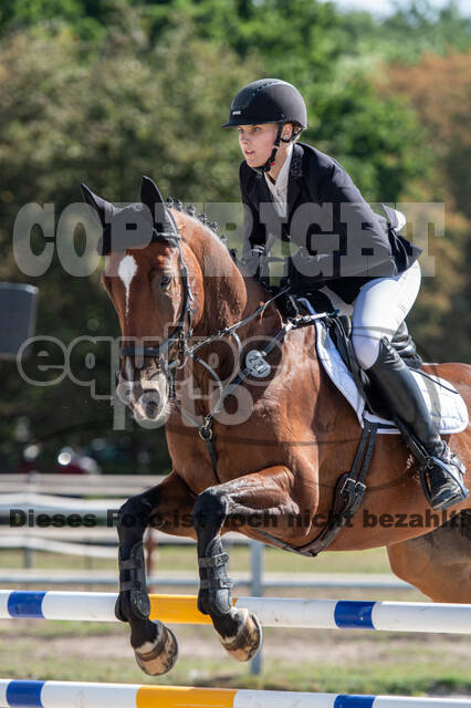 Landesturnier Rheinland, Vielseitigkeit, 22.+23.08.2020