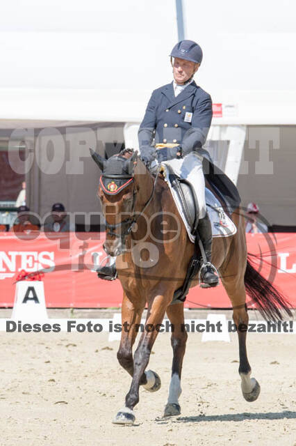 FEI European Championship Eventing 2017