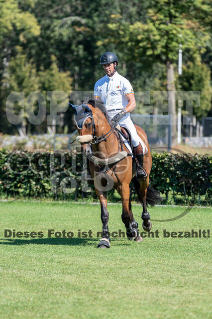 Kronenberg - De Peelbergen (August 2020)