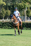 Kronenberg - De Peelbergen (August 2020)