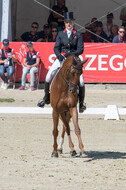 FEI European Championship Eventing 2017