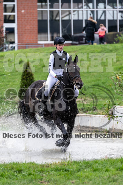 Goldene Schärpe 2020 - Pferde