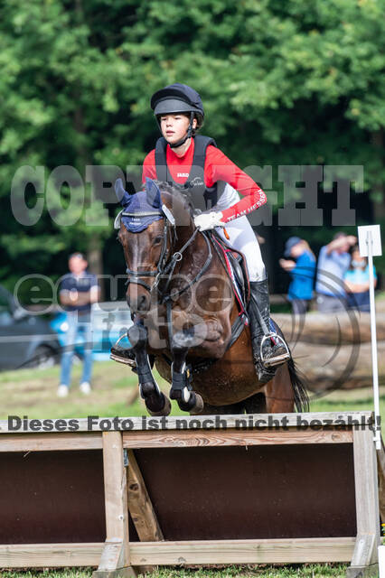 Goldene Schärpe 2021 - Ponys