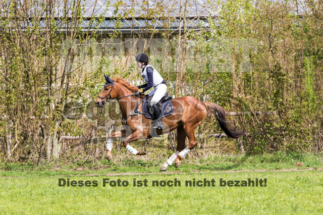 Vielseitigkeitsturnier RV Lippe-Bruch-Gahlen