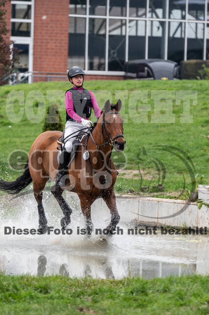 Goldene Schärpe 2020 - Pferde