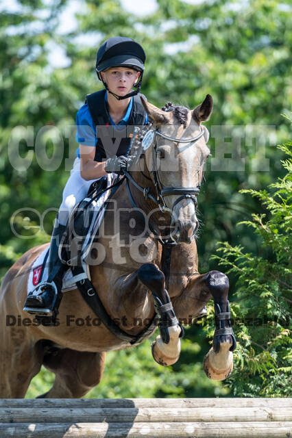 Goldene Schärpe 2021 - Ponys