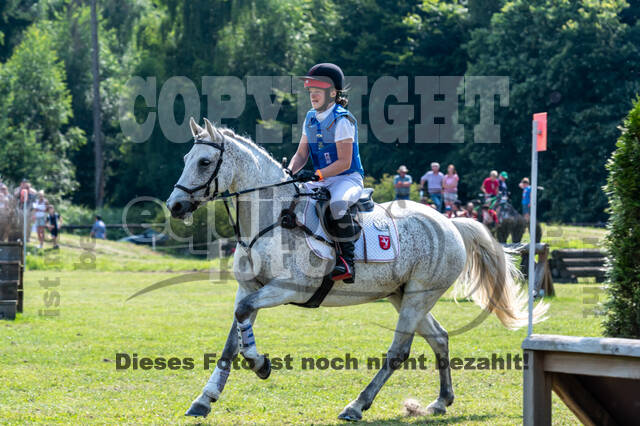 Goldene Schärpe 2021 - Ponys