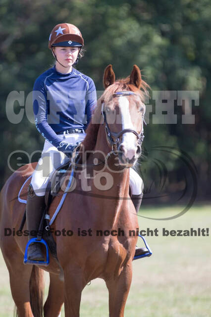 Vielseitigkeitsturnier RSV St. Hubertus Wesel Obrighoven