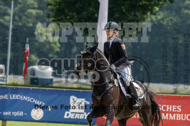 Goldene Schärpe 2021 - Ponys