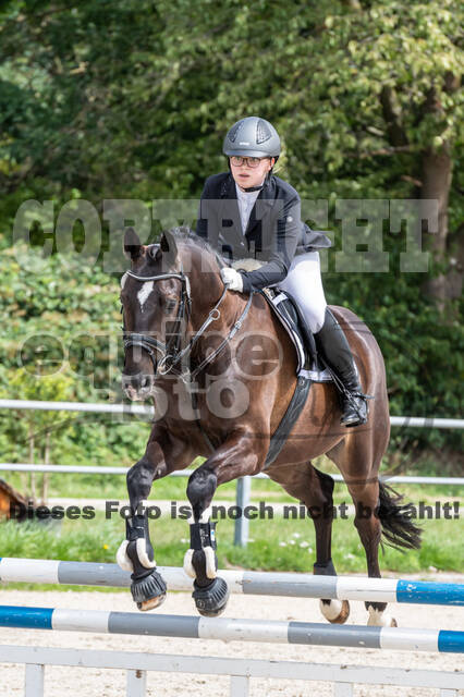 Late-Entry-Vielseitigkeit Langenfeld (06.+07.07.2020)