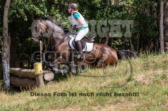 Late-Entry Vielseitigkeit Hamminkeln/Wesel (01.+02.08.2020)
