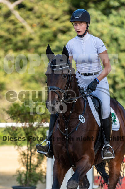 RFV Dinslaken-Hiesfeld (Herbstturnier)