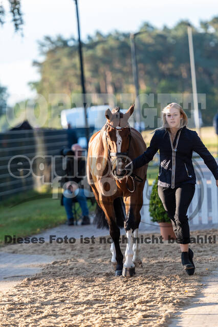 Deutsche Meisterschaft Vielseitigkeit (Luhmühlen)