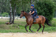 Hunter Geländetraining 10.07.2021 (Sonsbeck)