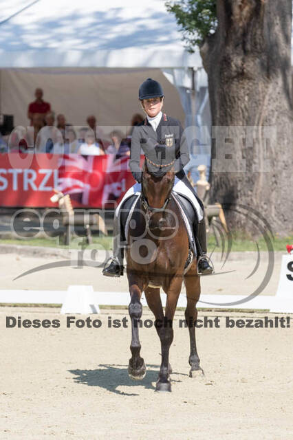 FEI European Championship Eventing 2017