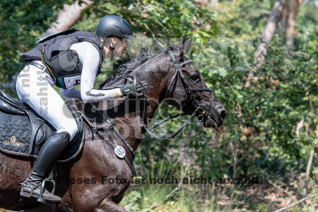 De Peelbergen (August 2020)